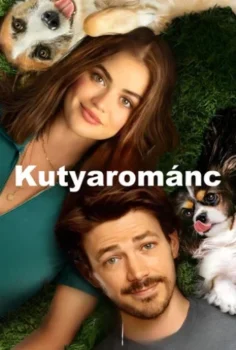 Köpek Sevgisi